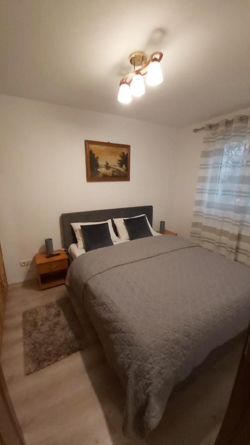 Apartmán Relax Apartament Satu Mare Exteriér fotografie