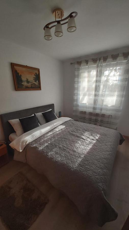 Apartmán Relax Apartament Satu Mare Exteriér fotografie