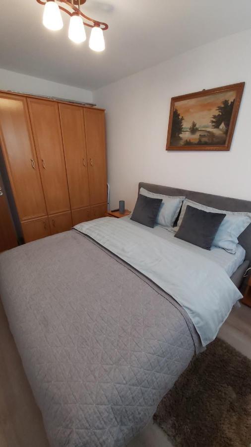 Apartmán Relax Apartament Satu Mare Exteriér fotografie